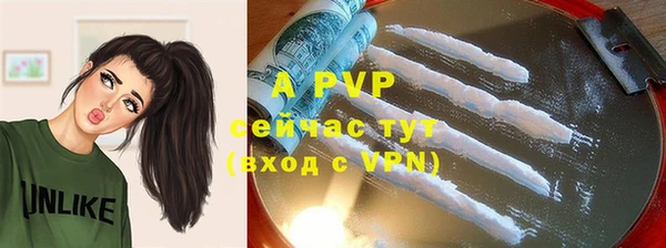 тгк Инсар