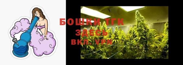 тгк Инсар