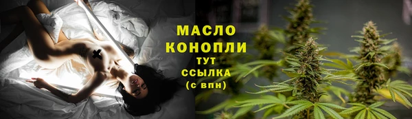 тгк Инсар
