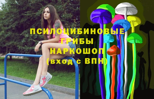 2c-b Инта