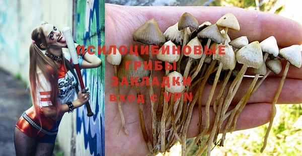 прущая мука Иннополис