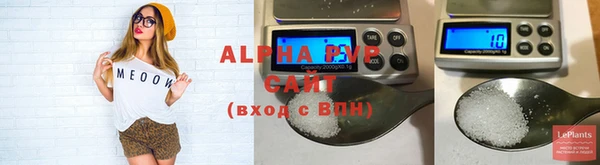 тгк Инсар