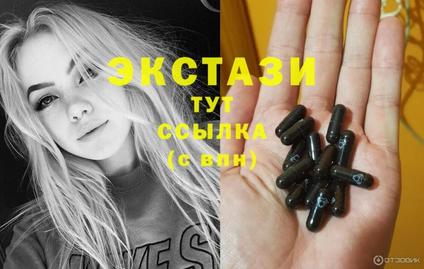 тгк Инсар