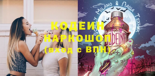 2c-b Инта