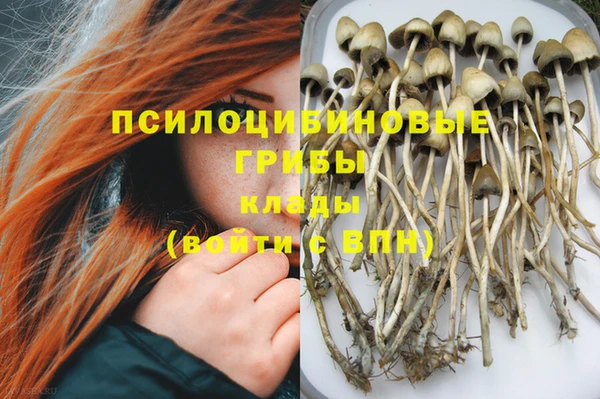 тгк Инсар
