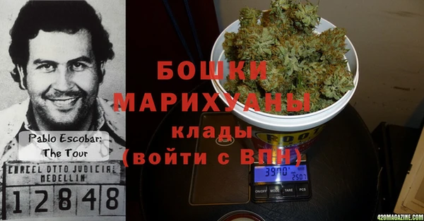 2c-b Инта