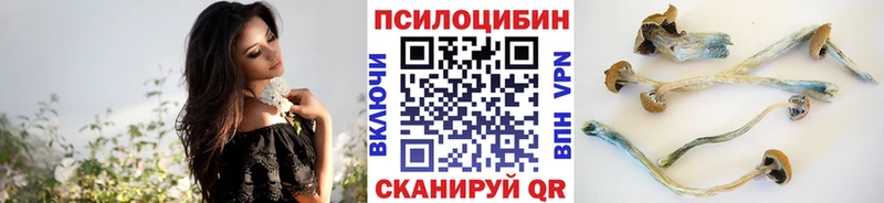 Псилоцибиновые грибы прущие грибы  Купить закладки  Кыштым 